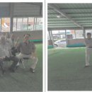 도양노인게이트볼장 이미지