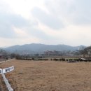 월막1리경로당 네이버블로그