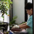 재명농장 이미지