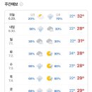 식물가게오늘