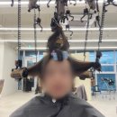 효진컨설팅 | [서산 미용실] 누오브 / 효진실장님 레이어드 C컬펌 대만족 후기 🤍