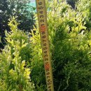 남천농장 이미지