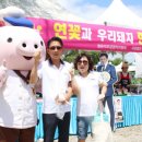 돼지사랑 이미지