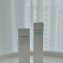 예쁜민낯 | 바르고 자는 톤업크림 추천! 메디테라피 핑크 블러크림으로 민낯 자신감 챙기기