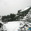 동백정 이미지