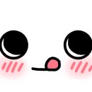 시바견분양.kr 이미지