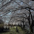 행정 | 의령 한달살기 | 경남 의령 숨은 벚꽃 피크닉 명소 추천 대의면 행정저수지 🌸