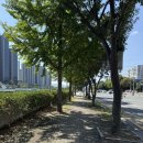 첨단칼라덴트시스템명서점 | 아빠에게 다녀온날