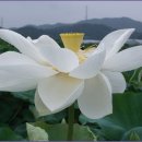 서광구제