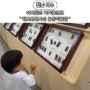 해오름전시실 이미지