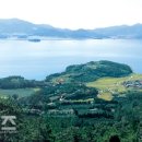 해바리민박 이미지