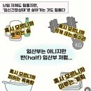 리오시스템