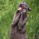 쑤니비어 이미지