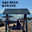 서림파크 | 제주 모슬포 해안도로 돌고래 포인트 직접 가본 후기