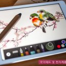 비엔엔(BNN) 이미지