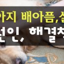 해피동물약국 이미지