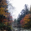 창건목장 이미지