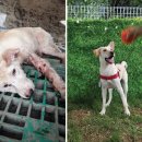 이지연농장 이미지