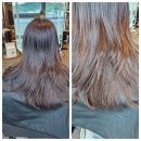 대경회타운 | [RS지연원장 직접시술후기]지축역 아베다염색 잘하는곳/붉은기 잡는 쿨브라운