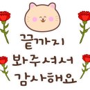 따옴과일 - 청주시 상당구 용암동 | 따옴과일