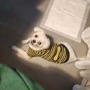 나포리 | 강화도 애견펜션 나폴리 내돈내산 후기