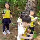 로뎅유치원 이미지