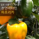 김재승농장 이미지