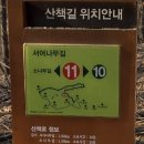 서오릉산책 | 고양 서오릉 산책 후기 | 서울 근교 가족 나들이·데이트 모두 추천