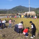 고탄산들미 이미지