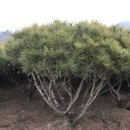 황금농장(2) 이미지