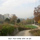 용인포곡읍 전원주택지 전295평,반값1억6천 물건 이미지