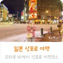 일본 삿포로 여행 코스 일본 오타루 여행 비에이 투어 삿포로 호텔 가성비 추천