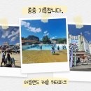 아일랜드캐슬 워터파크 | 아일랜드 캐슬 워터파크 후기: 가격부터 준비물 꿀팁까지