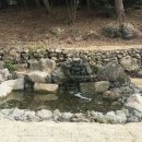 금성당 Daum카페