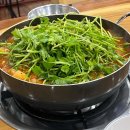 플루토 애견방 다이닝코드