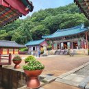 신흥사 | 강원도 사찰 설악산 신흥사 가을 방문 후기