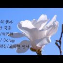 오늘의행복