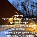 방학동 은행나무 | 방학동 분위기 좋은 가족행사 레스토랑 추천 ‘파인트리스텀프’ 아기랑 방문한 내돈내산 후기, 메뉴추천