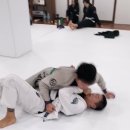 텐스플래닛 주짓수 레슬링 대구 | 오픈 전 마지막 오픈맷! 그리고 뉴웨이브 주짓수 양재 오픈까지 D-3