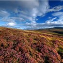 (유)아일랜드여행 이미지