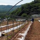 이민경로당 이미지