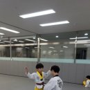 용인대 한빛 태권도장 이미지