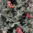 해피스무디 이미지