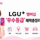 엘지오토오아시스 구갈점 | LG유플러스 우수고객 혜택 총정리! VIP만 좋은 줄 알았는데 영화·장보기 할인까지 챙겼습니다