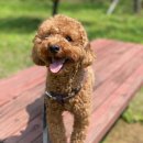 조암호텔 이미지