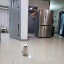 메르벨르리조트 이미지