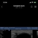 광주동물병원 네이버블로그