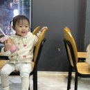 대구 동성로 고양이 카페:) &#39; 양이랑커피랑 고양이카페 &#39; 24개월 아기랑 방문 후기