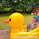 강변유원지길 | 경기도 여주 아기랑 가볼만한곳 드라이브 놀거리 금은모래강변공원 자전거여행 오리 스쿠터 대여 후기