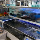 농수산물도매시장 수산동-2 이미지